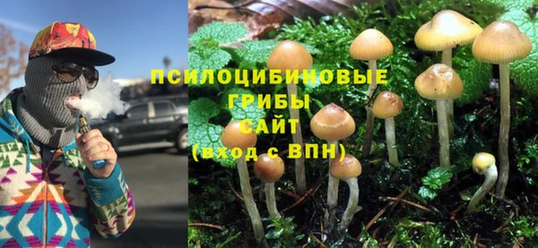 гашик Баксан