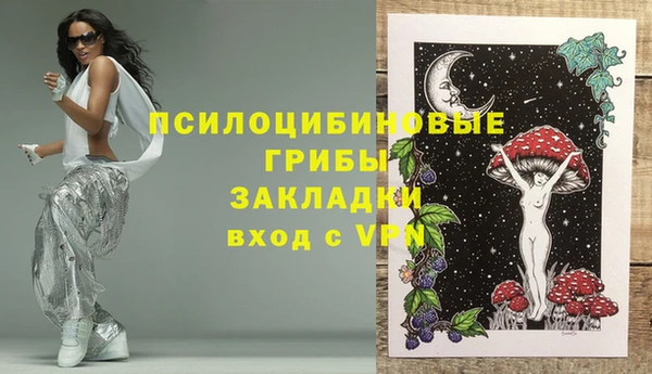 гашик Баксан
